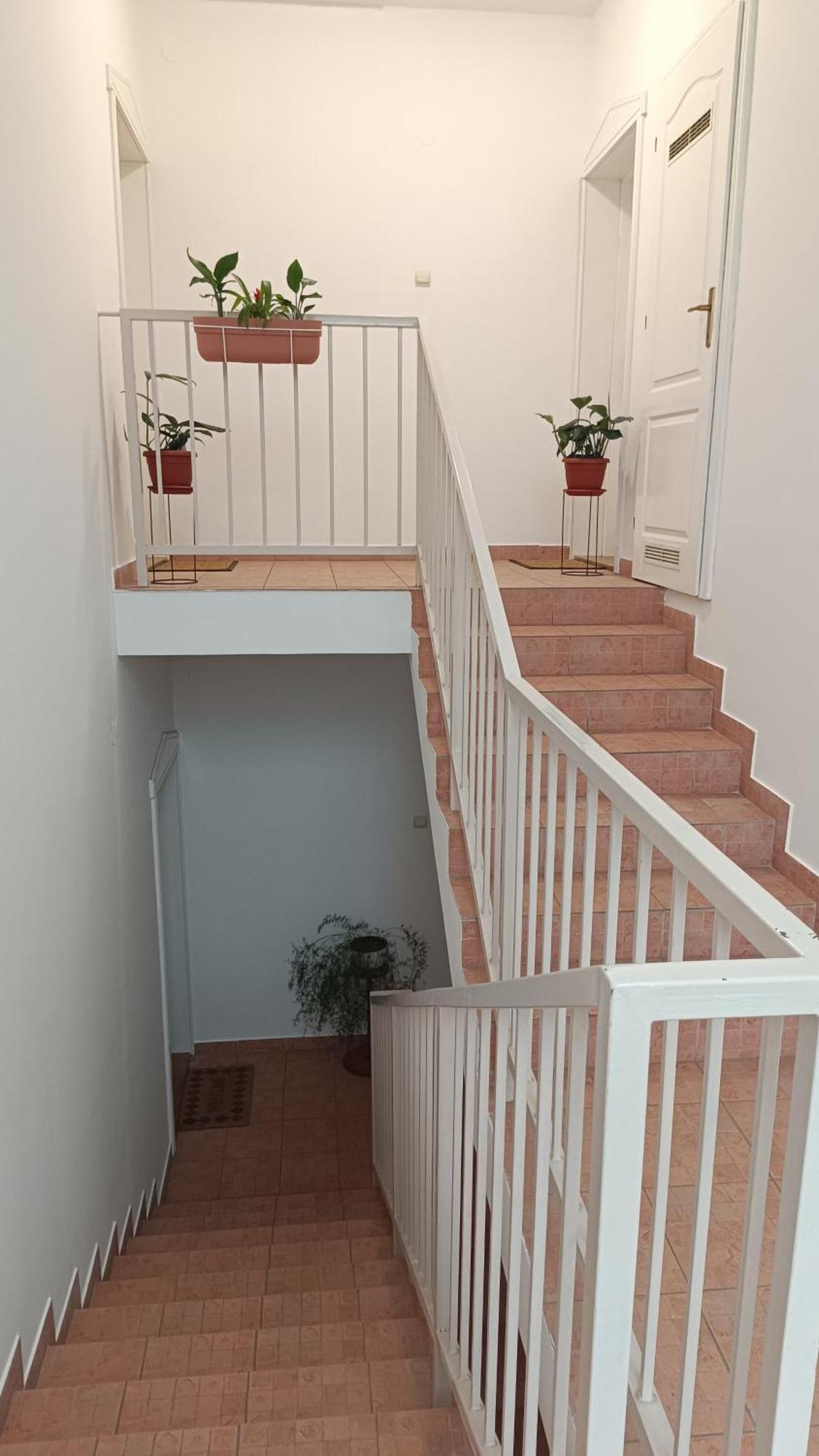 Dora Apartman 帕利克 外观 照片